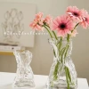 Irregular-shaped flower arrangement hydroponic vase at half price, living room decoration money bag size sense glass Specification image